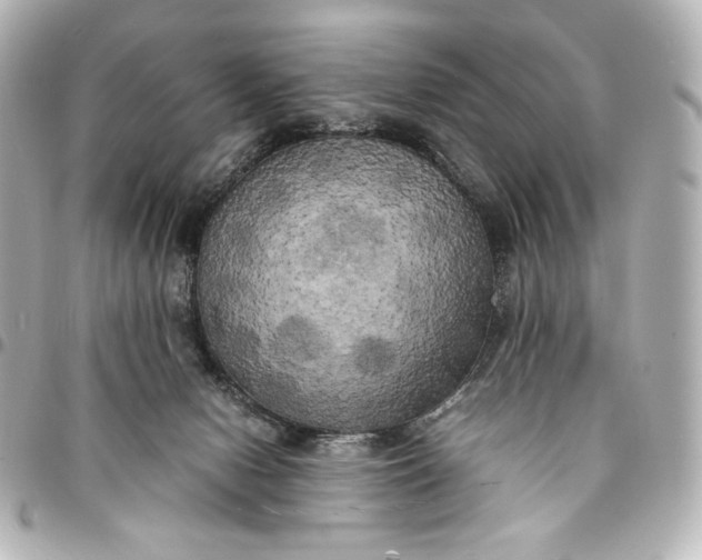 X0000095520078200712281509