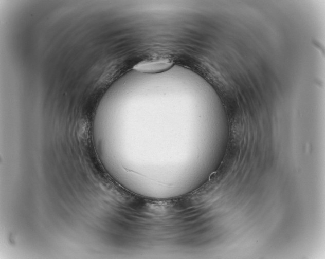 X0000095520079200712281509