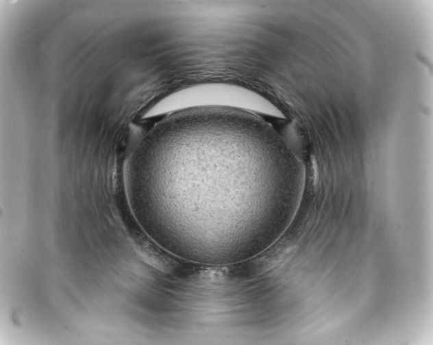 X0000095520080200712281509