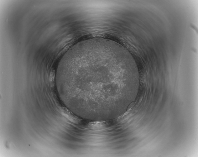 X0000095520082200712281510