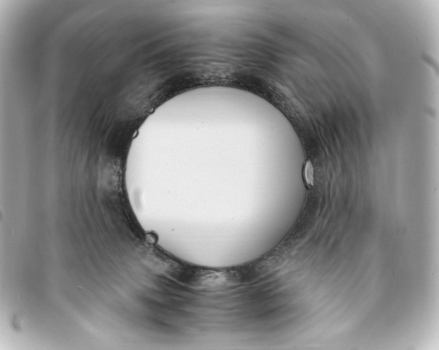 X0000095520083200712281510