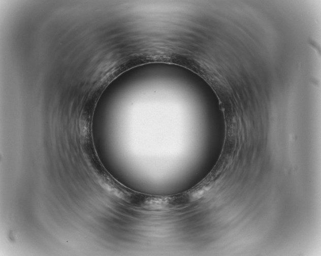 X0000095520084200712281510