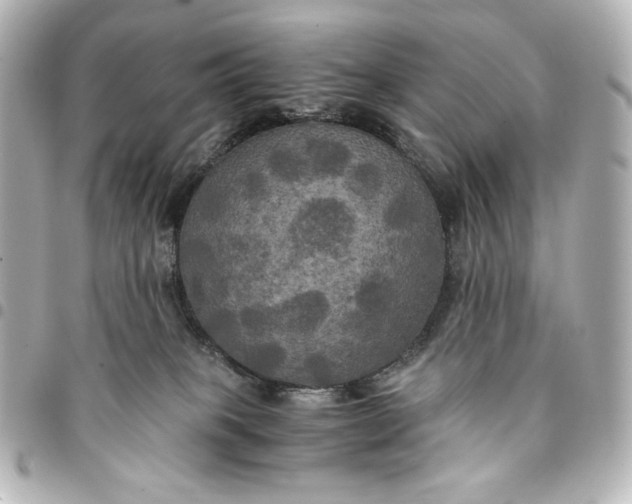 X0000095520085200712281510