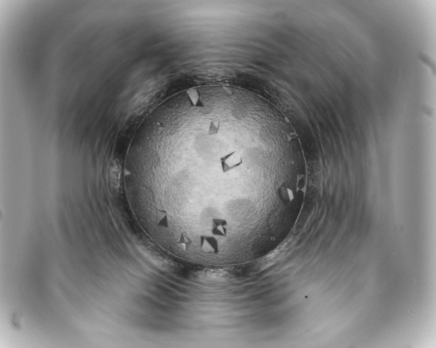 X0000095520086200712281510