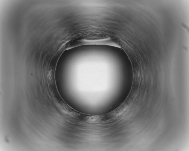 X0000095520088200712281510