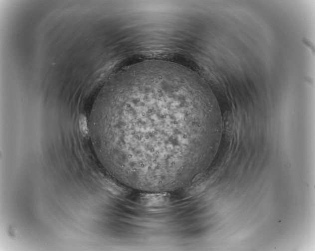 X0000095520089200712281510