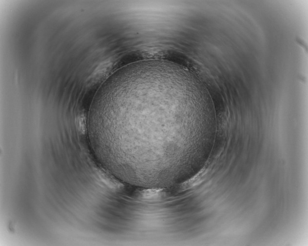 X0000095520090200712281510