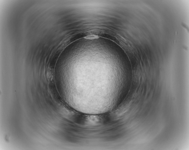 X0000095520091200712281510