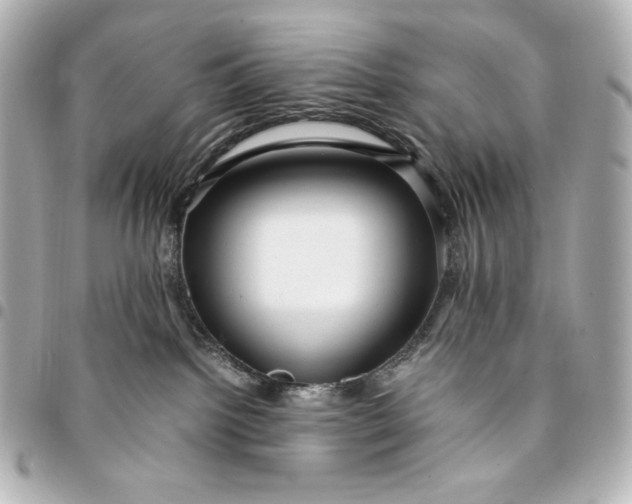 X0000095520092200712281510