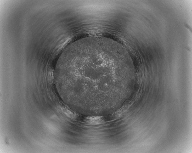 X0000095520093200712281510