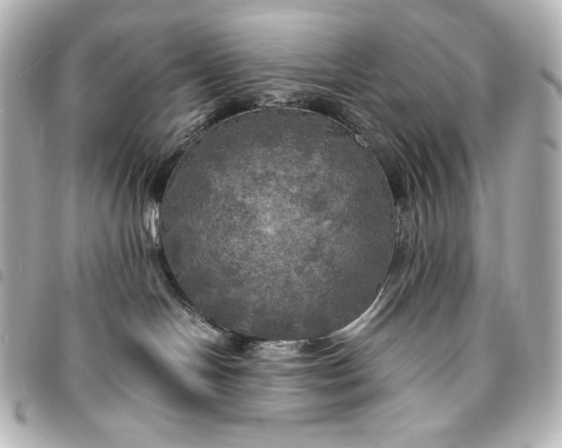 X0000095520094200712281510