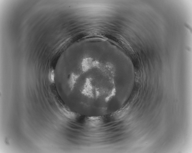 X0000095520095200712281510