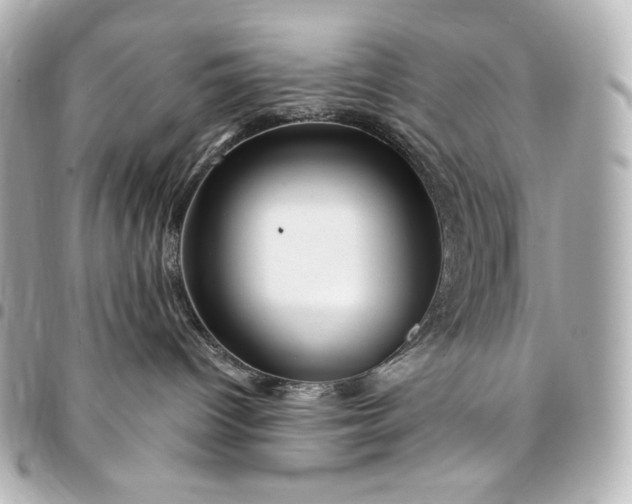 X0000095520096200712281510