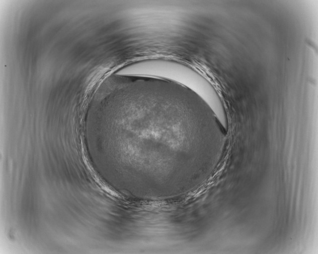 X0000095520097200712281509