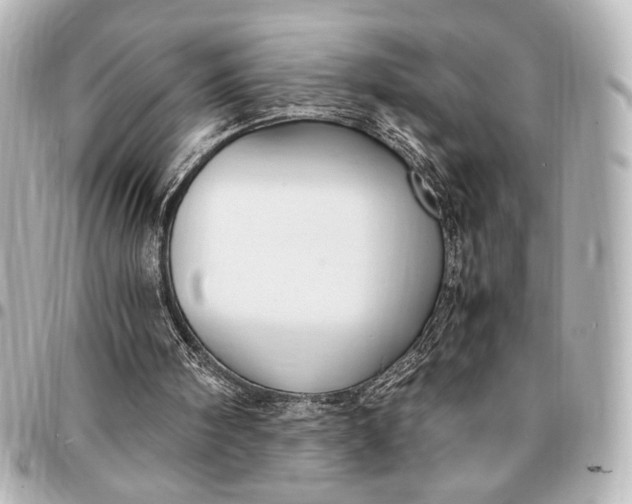 X0000095520098200712281509