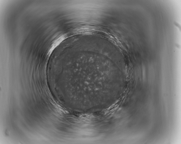 X0000095520099200712281509