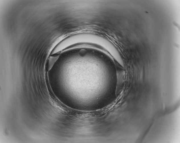 X0000095520100200712281509