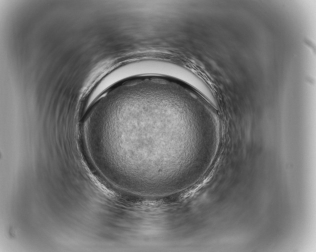 X0000095520101200712281509