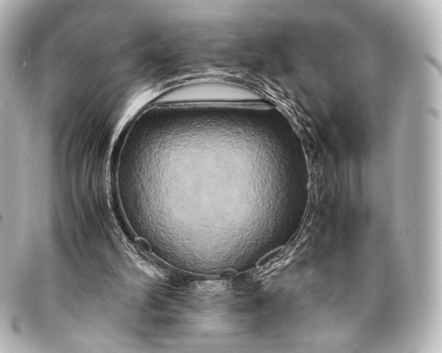 X0000095520102200712281509