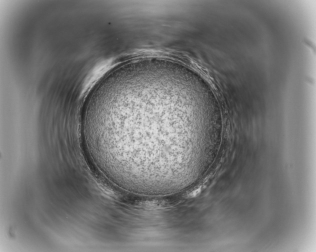 X0000095520103200712281509