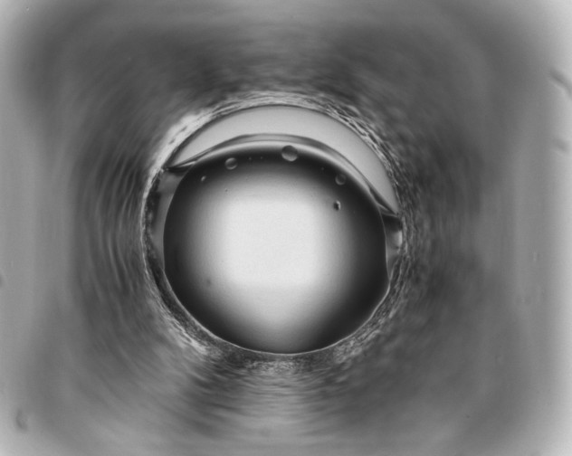 X0000095520104200712281509