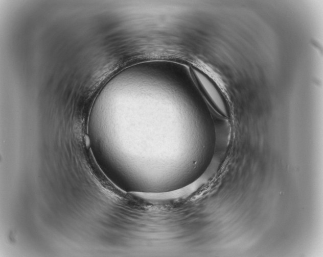 X0000095520105200712281509