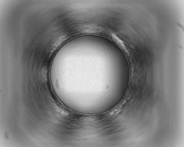 X0000095520106200712281509