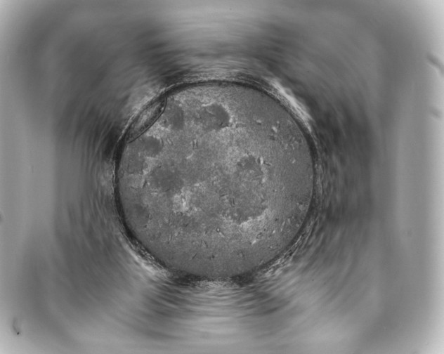 X0000095520107200712281509