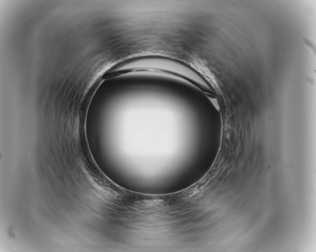 X0000095520108200712281509