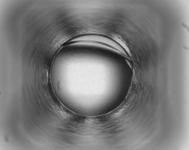 X0000095520109200712281509