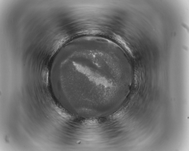 X0000095520110200712281509