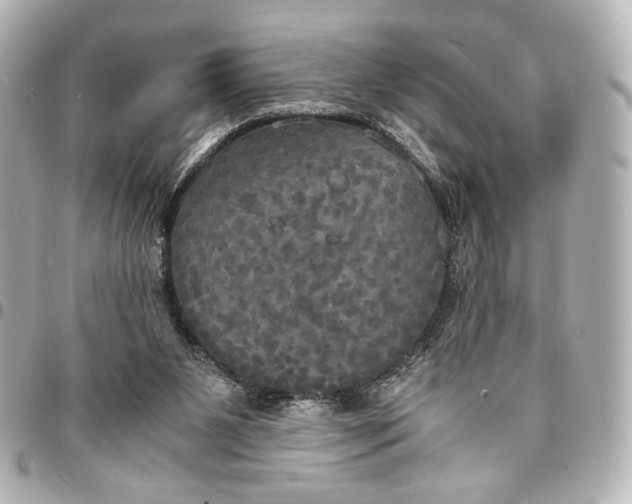 X0000095520111200712281509