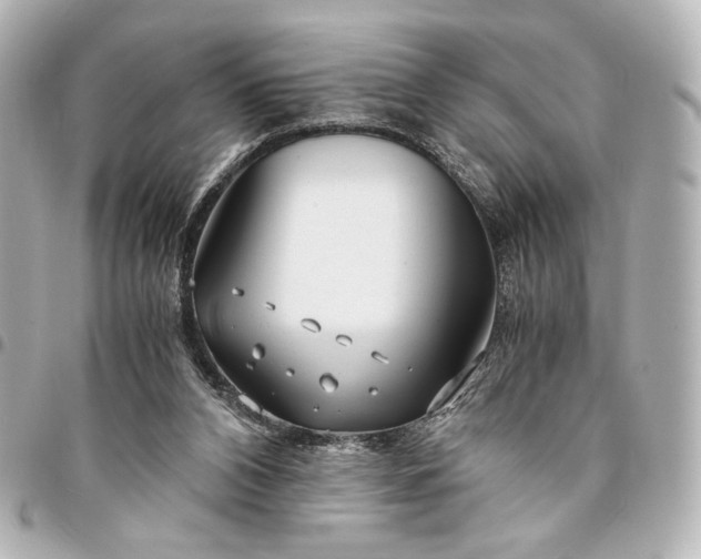 X0000095520112200712281509