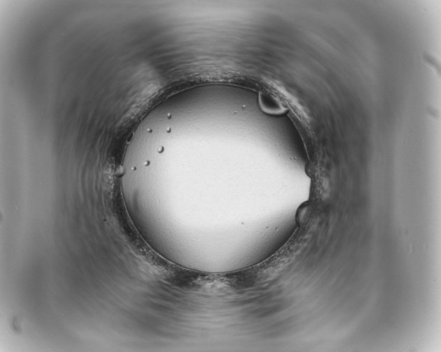 X0000095520113200712281509