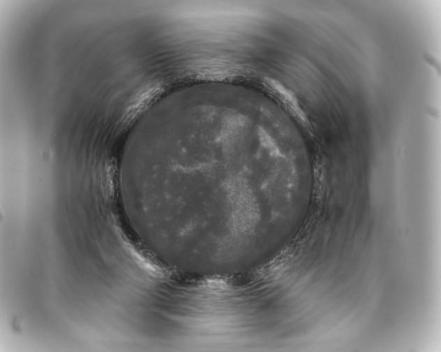 X0000095520114200712281509