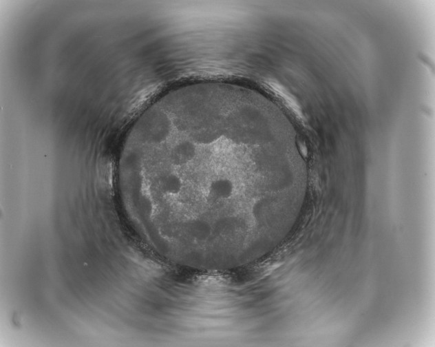 X0000095520115200712281509