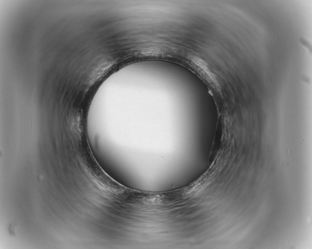 X0000095520116200712281509