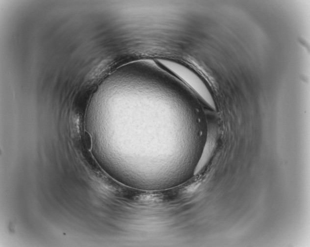 X0000095520117200712281509