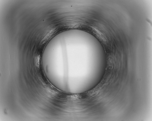 X0000095520118200712281509