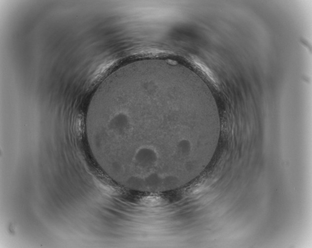 X0000095520119200712281509