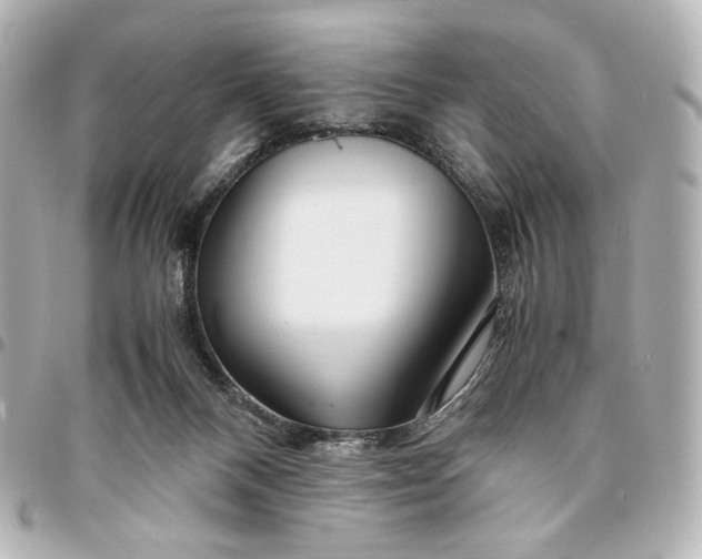 X0000095520120200712281509