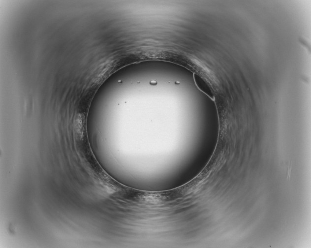 X0000095520121200712281509