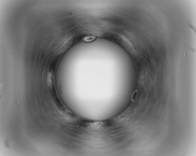 X0000095520122200712281509