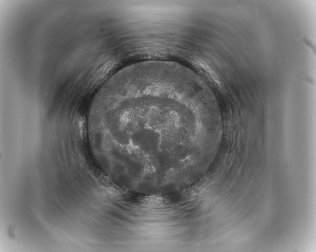 X0000095520123200712281509