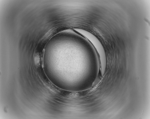 X0000095520124200712281509