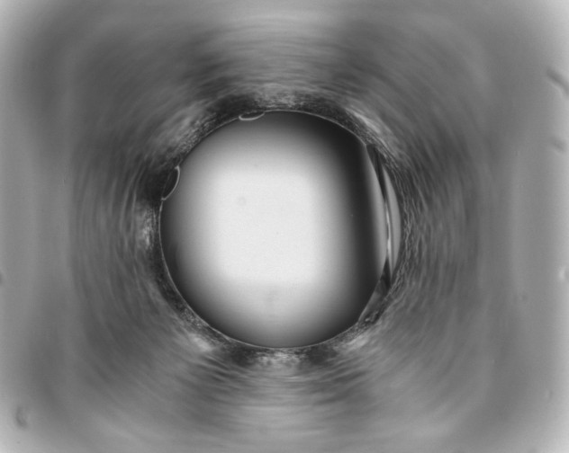 X0000095520125200712281509