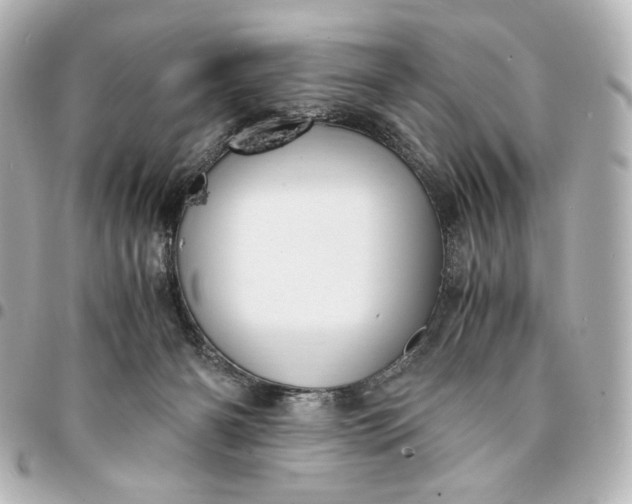 X0000095520126200712281509