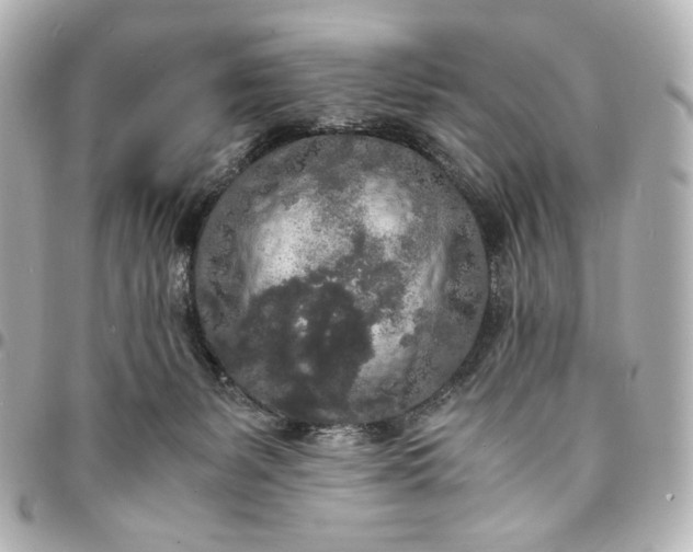 X0000095520127200712281509