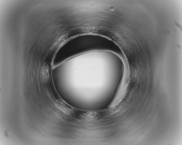 X0000095520128200712281509