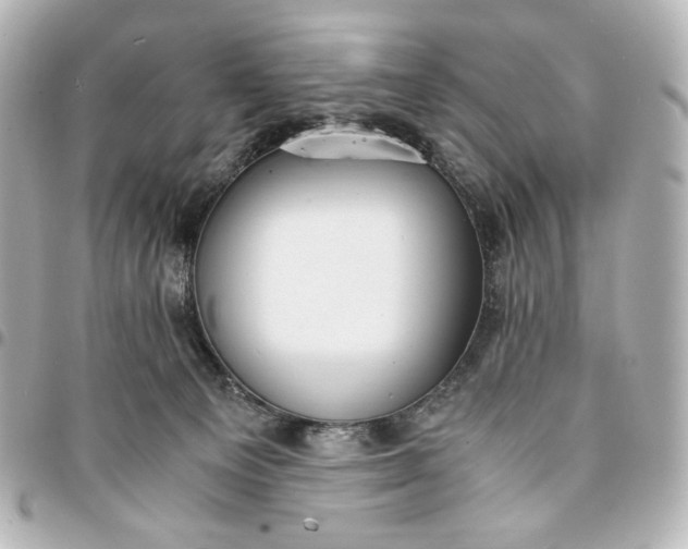 X0000095520129200712281509